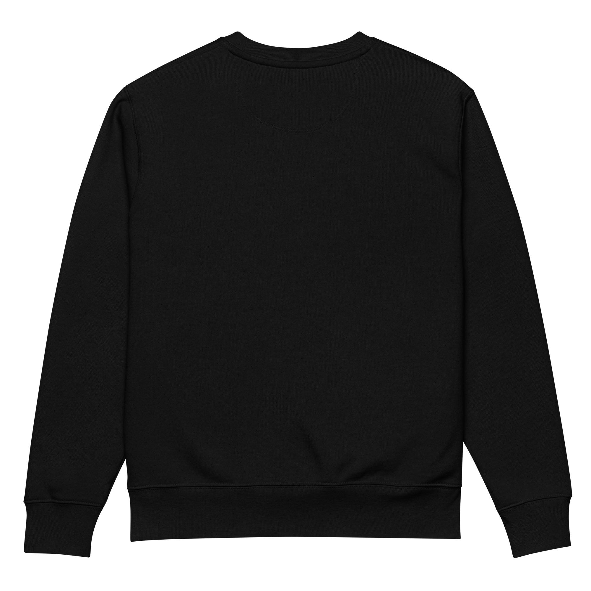 unisex-eco-sweatshirt-black-back-691dcd1f5e534.png