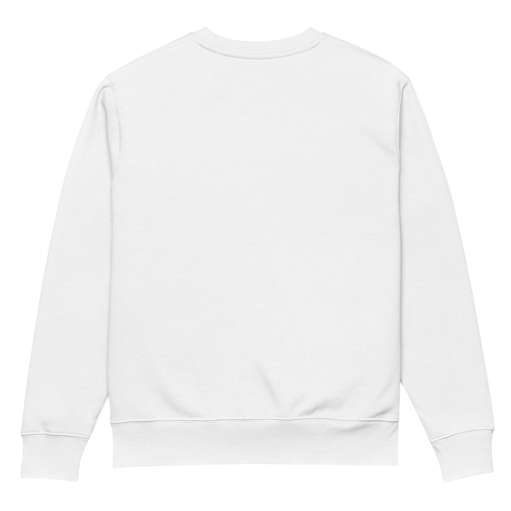 unisex-eco-sweatshirt-white-back-691e1c76e91a1.jpg